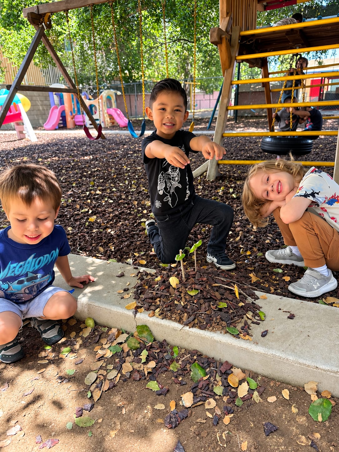 Children examining a small planted seedling together in the play yard